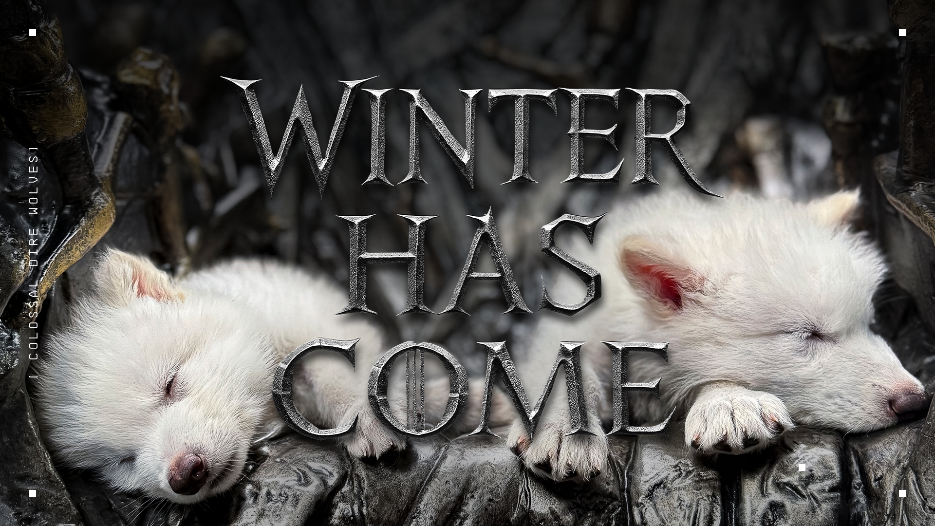 Move Over Game of Thrones, The Real Dire Wolf Is Back!