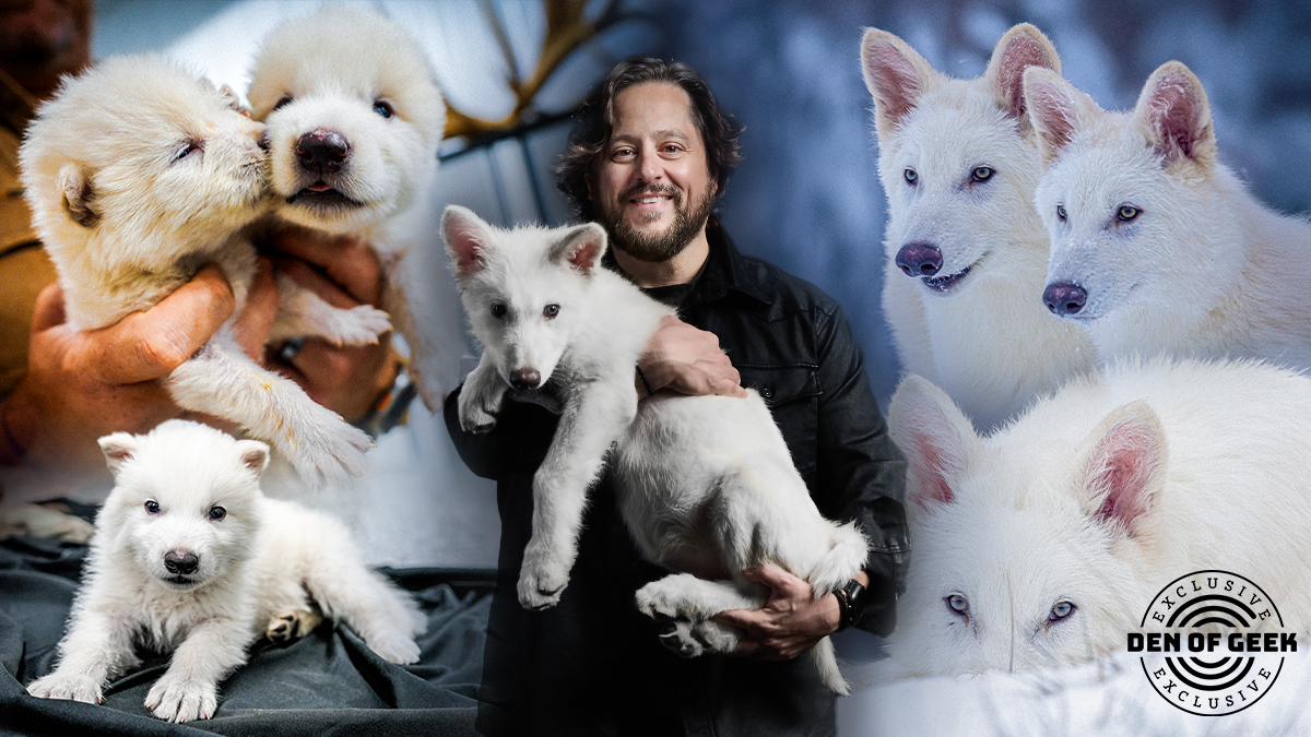 Why the Dire Wolf Returned and How It Could Save the Red Wolf