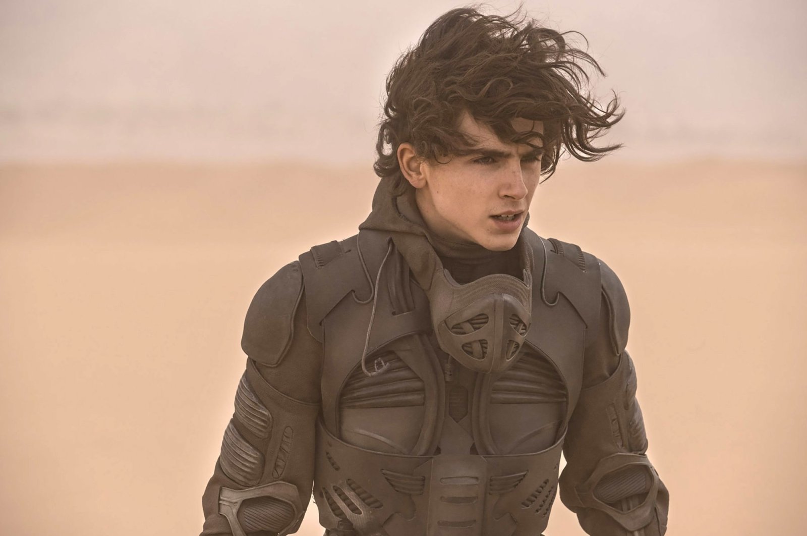 Timothée Chalamet’s Bald Head Has Major Implications For Dune 3