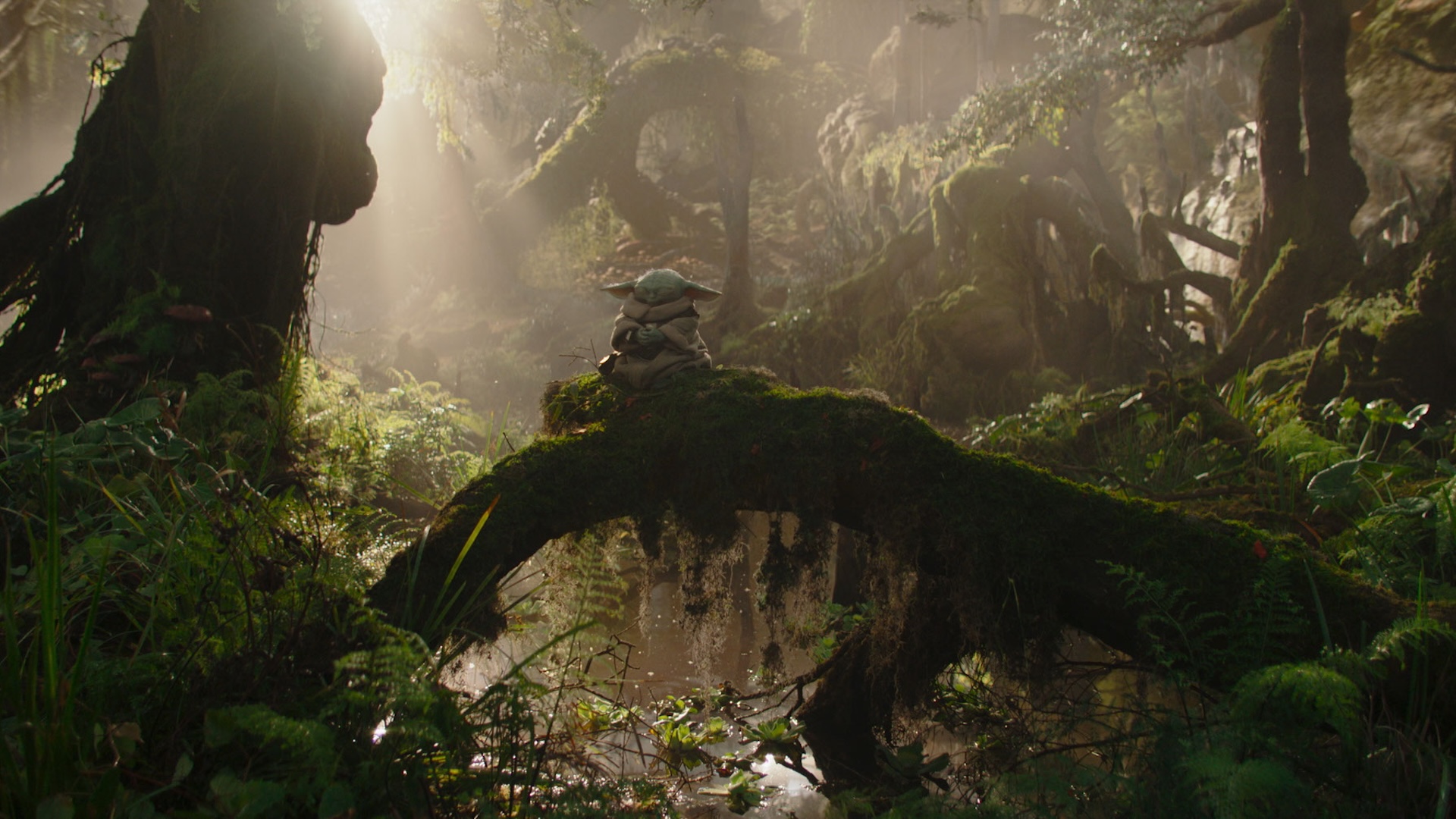 The Mandalorian and Grogu Trailer Adds Baby Greedo to Star Wars