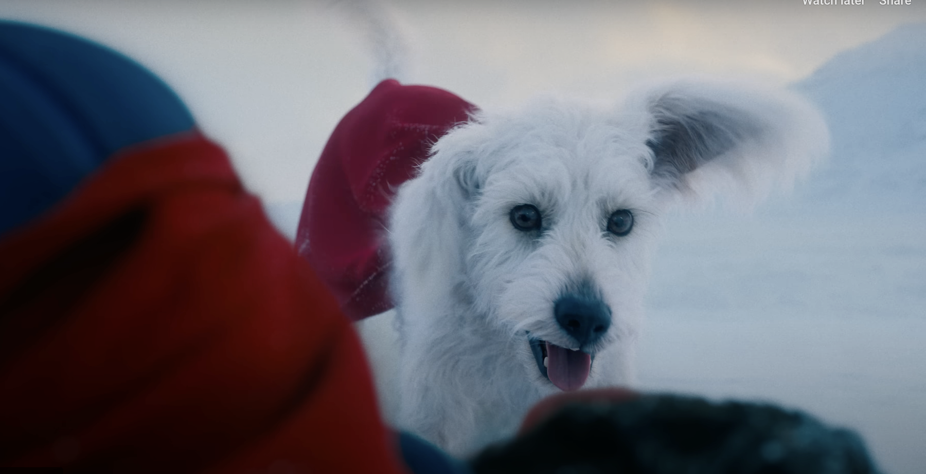 Supergirl’s Puppy Bowl Promo Continues the New DCU’s Cute Animal Focus