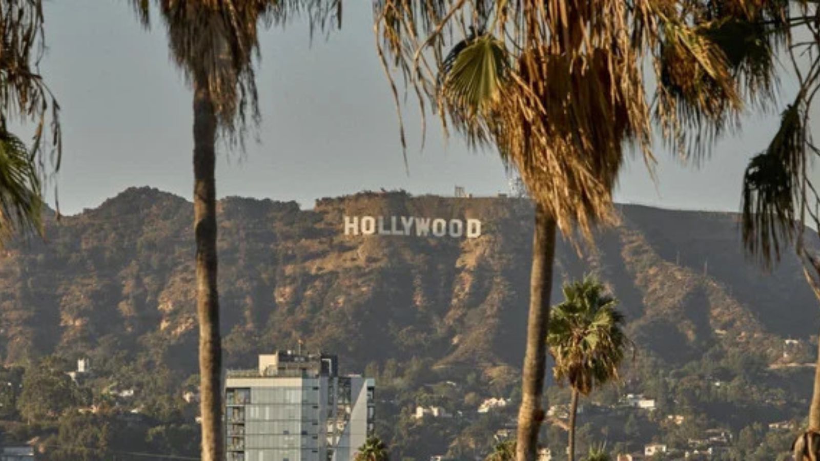 15 Facts Hollywood Would Love to Leave in its Past