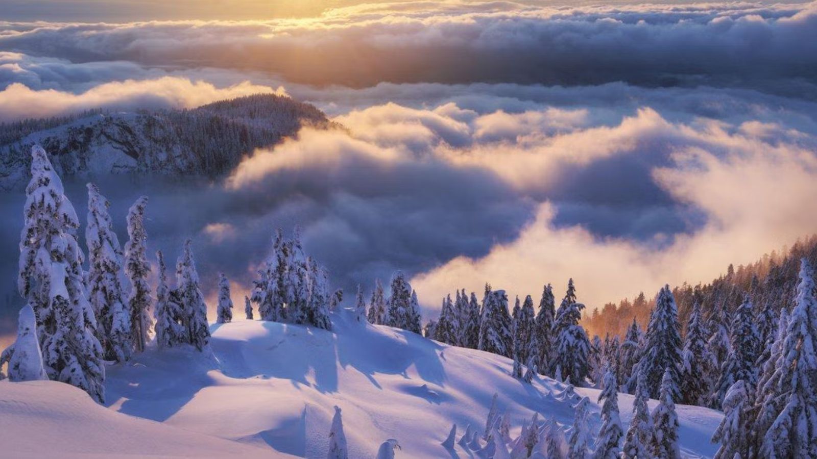 12 Photos Where the Natural World is On its Fullest Display
